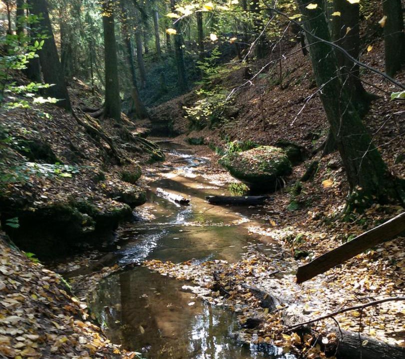 Photo of Others in Lauf an der Pegnitz