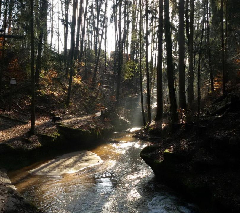 Photo of Others in Lauf an der Pegnitz