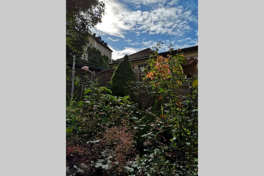 Photo of Others in Traunstein