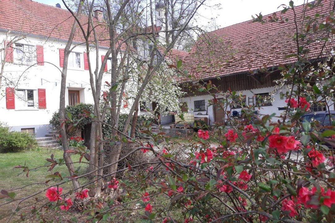 Photo of Others in Ichenhausen