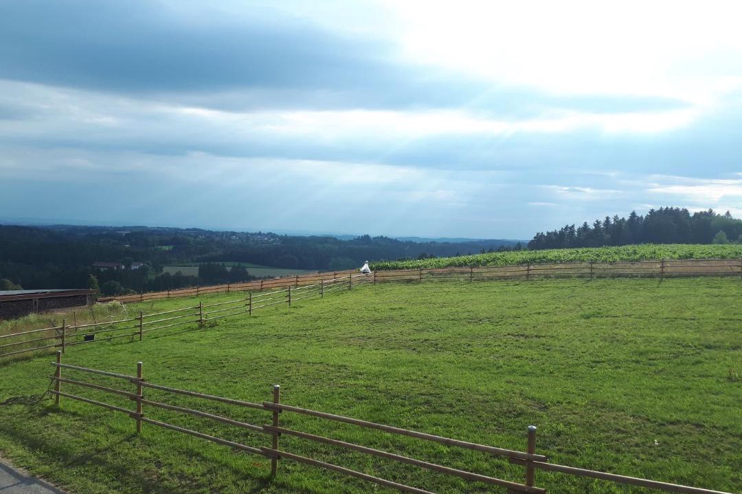Photo of Others in Haselbach