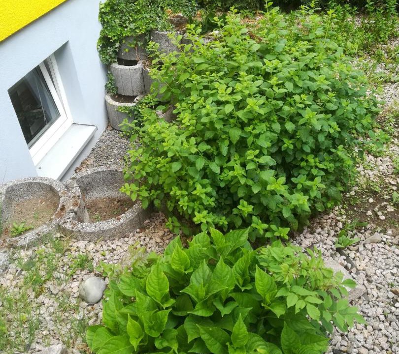 Photo of Others in Helmbrechts