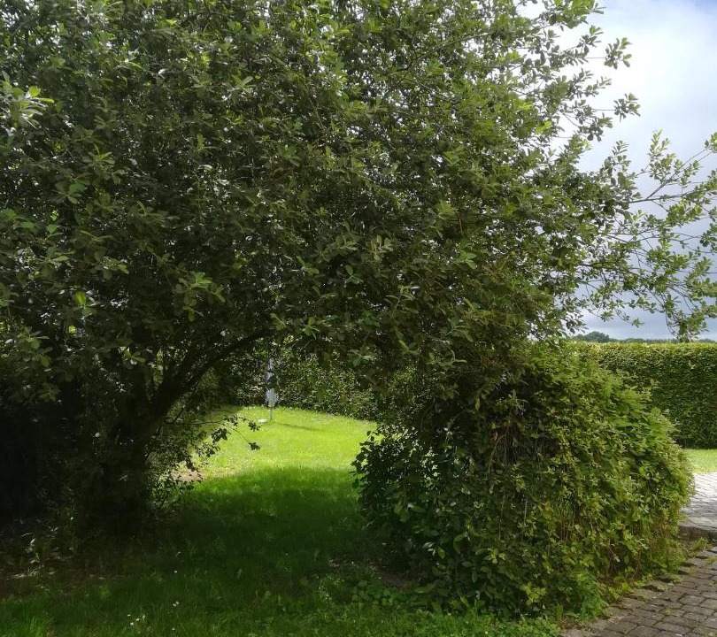 Photo of Others in Helmbrechts
