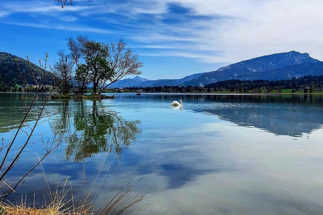 Photo of Others in Walchsee