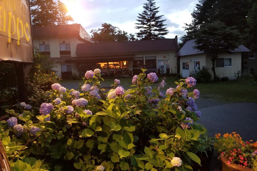 Photo of Others in Hakuba