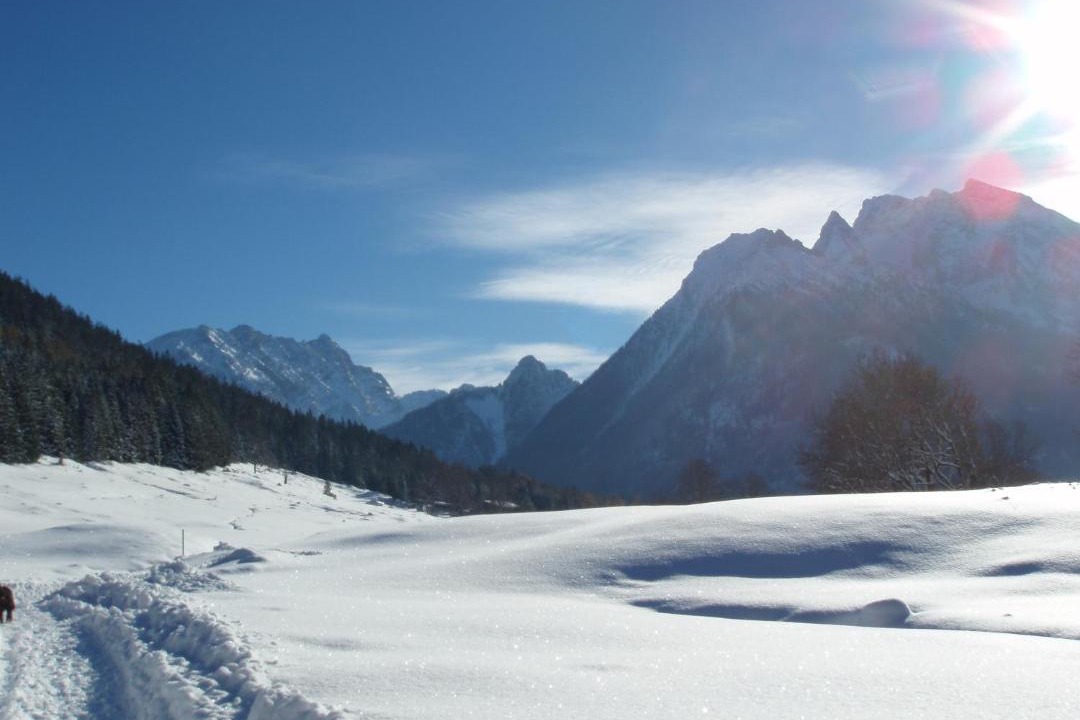 Photo of Others in Ramsau bei Berchtesgaden