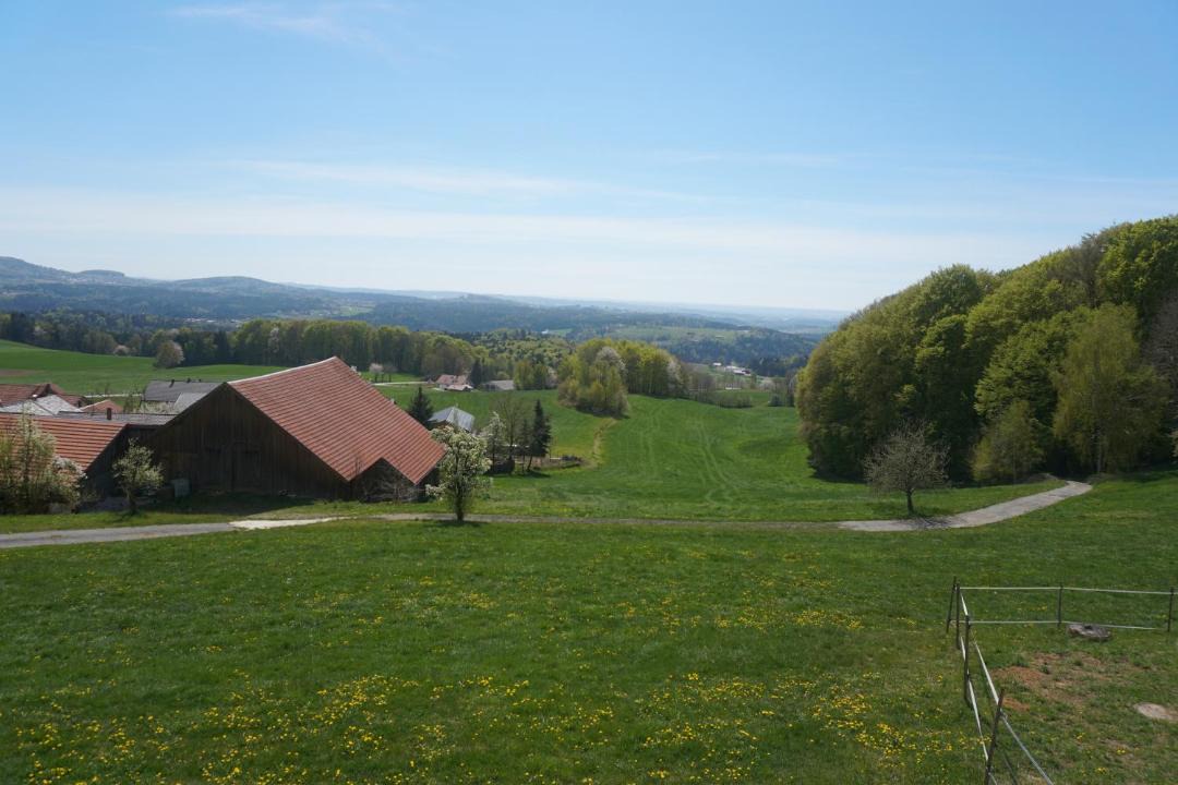 Photo of Others in Lalling