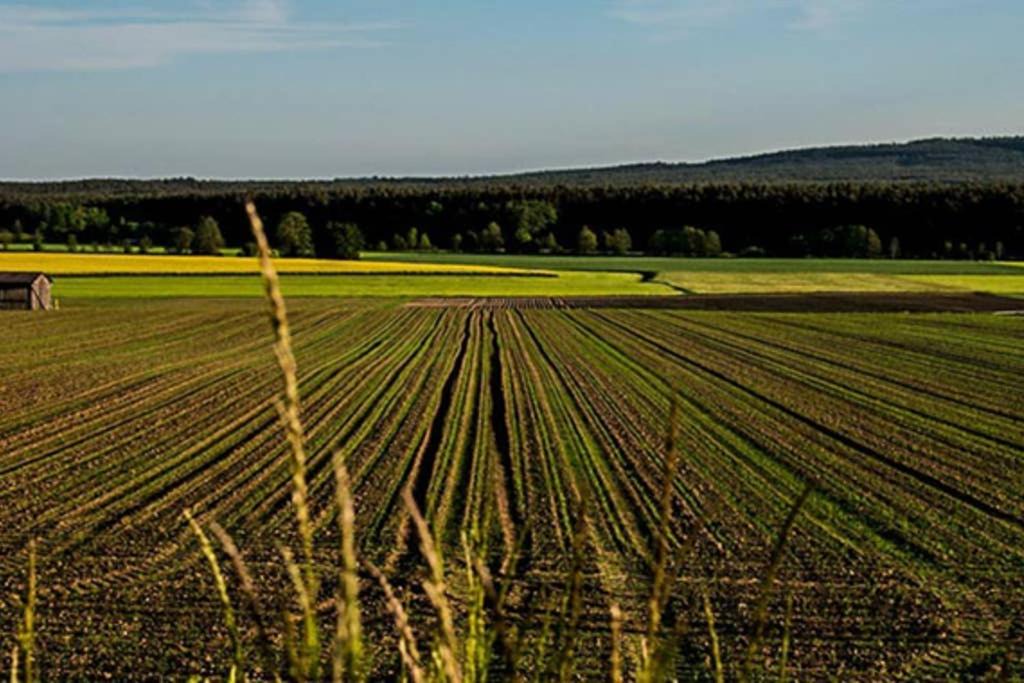 Photo of Others in Kohlberg