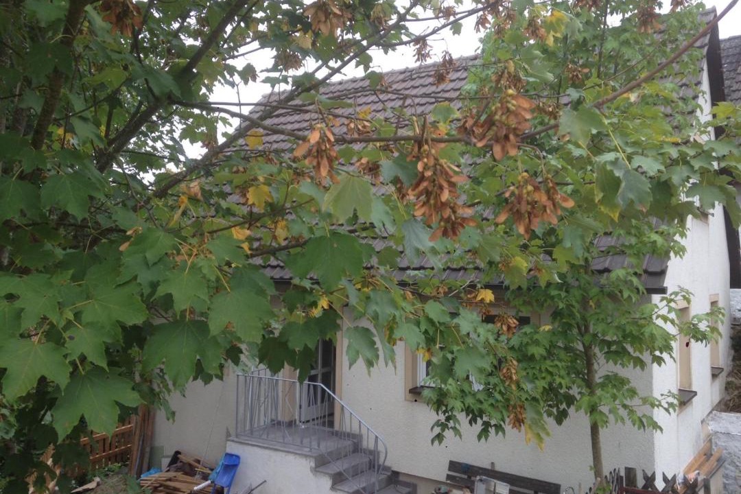 Photo of Others in Aufsess