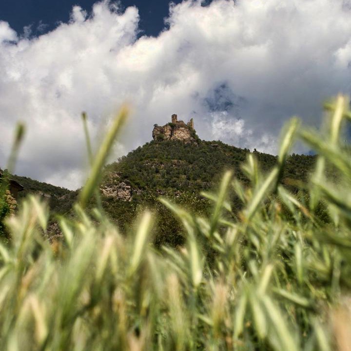 Photo of Others in Perarrua