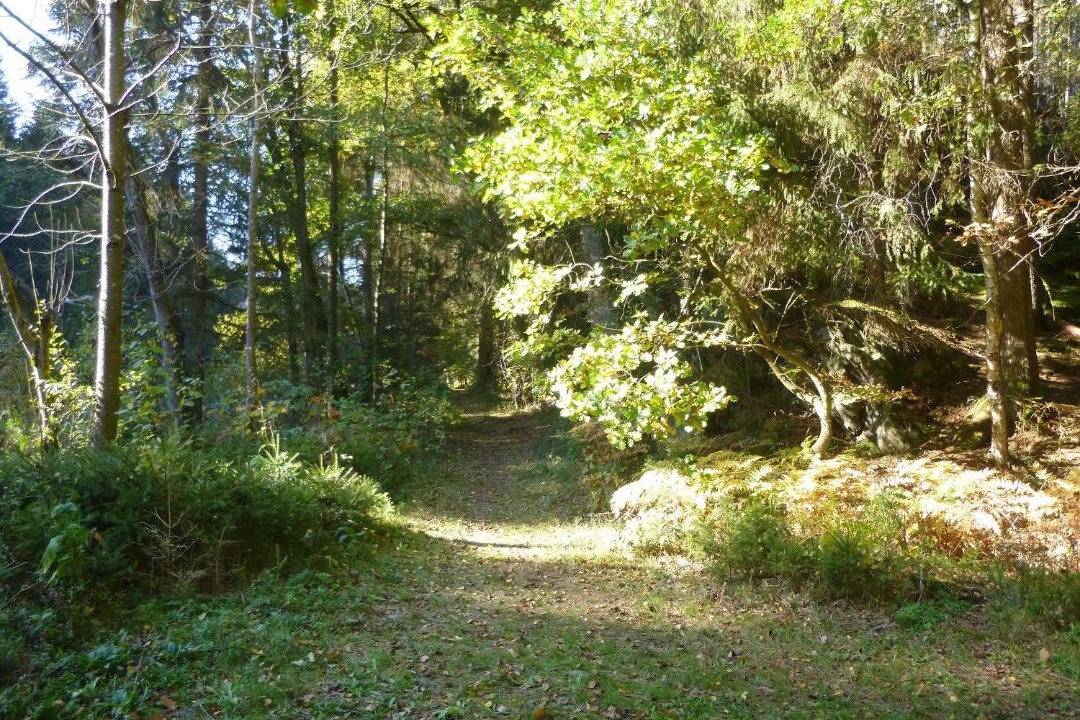 Photo of Outdoor in Bobrach