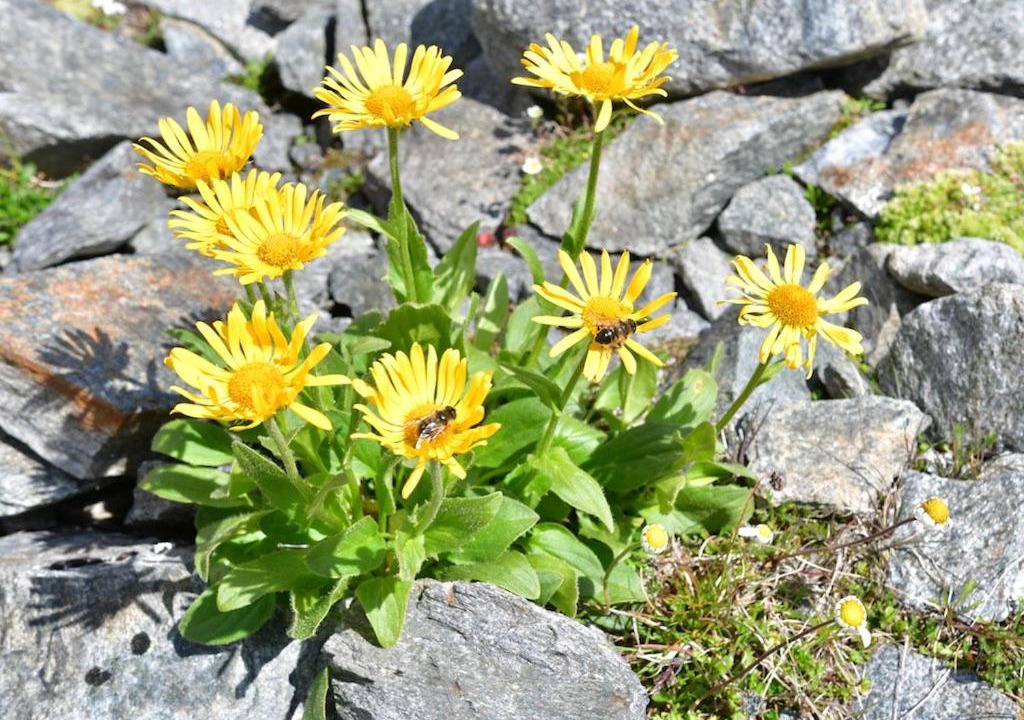 Photo of Outdoor in Mandarfen