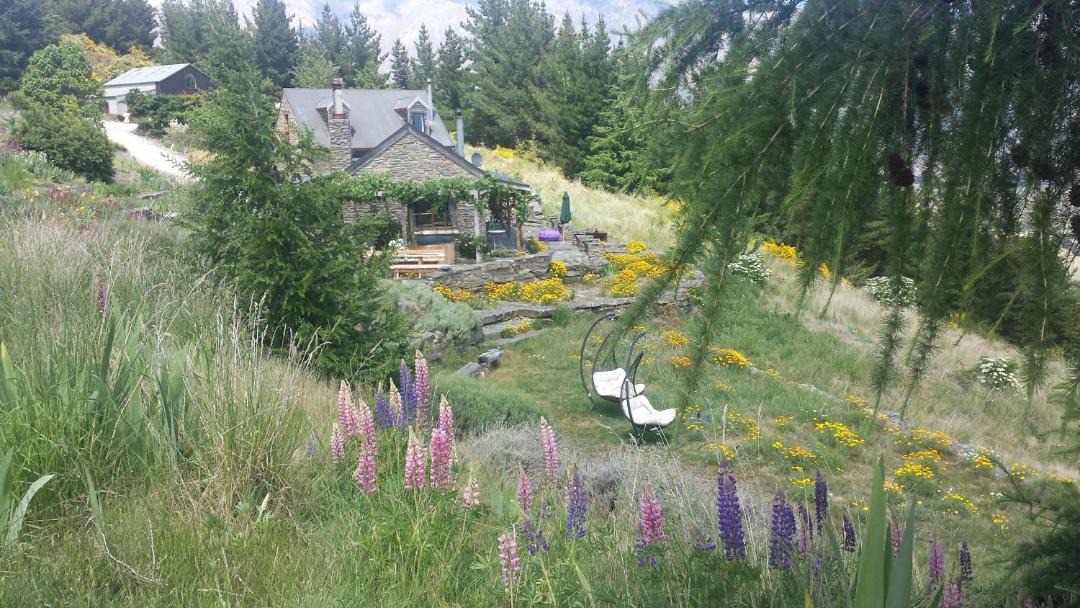 Photo of Others in Arrowtown