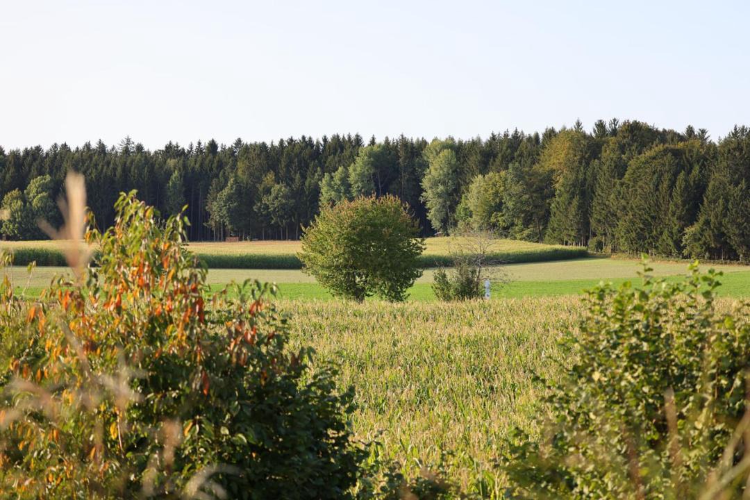Photo of Others in Lauterhofen