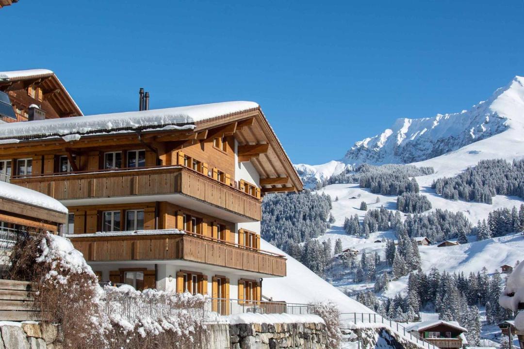 Photo of Others in Adelboden