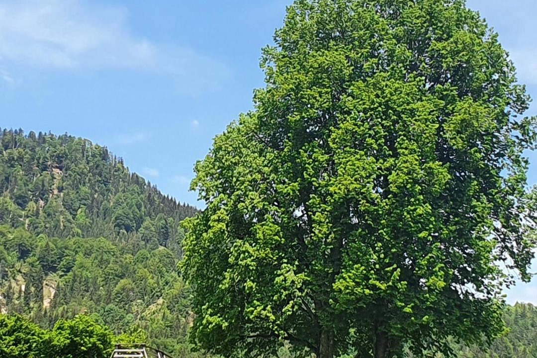 Photo of Outdoor in Groissenbach
