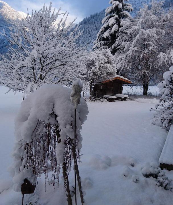 Photo of Others in Holzgau