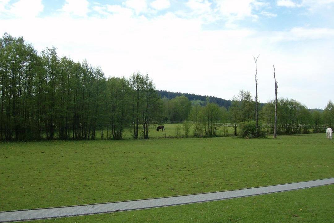 Photo of Others in Neureuth