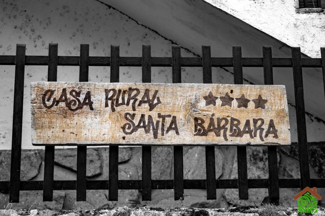 Photo of Others in El Real de San Vicente
