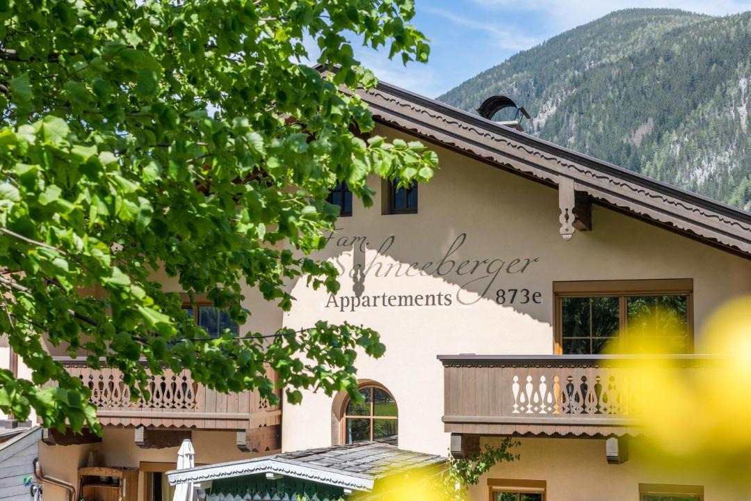 Photo of Others in Mayrhofen