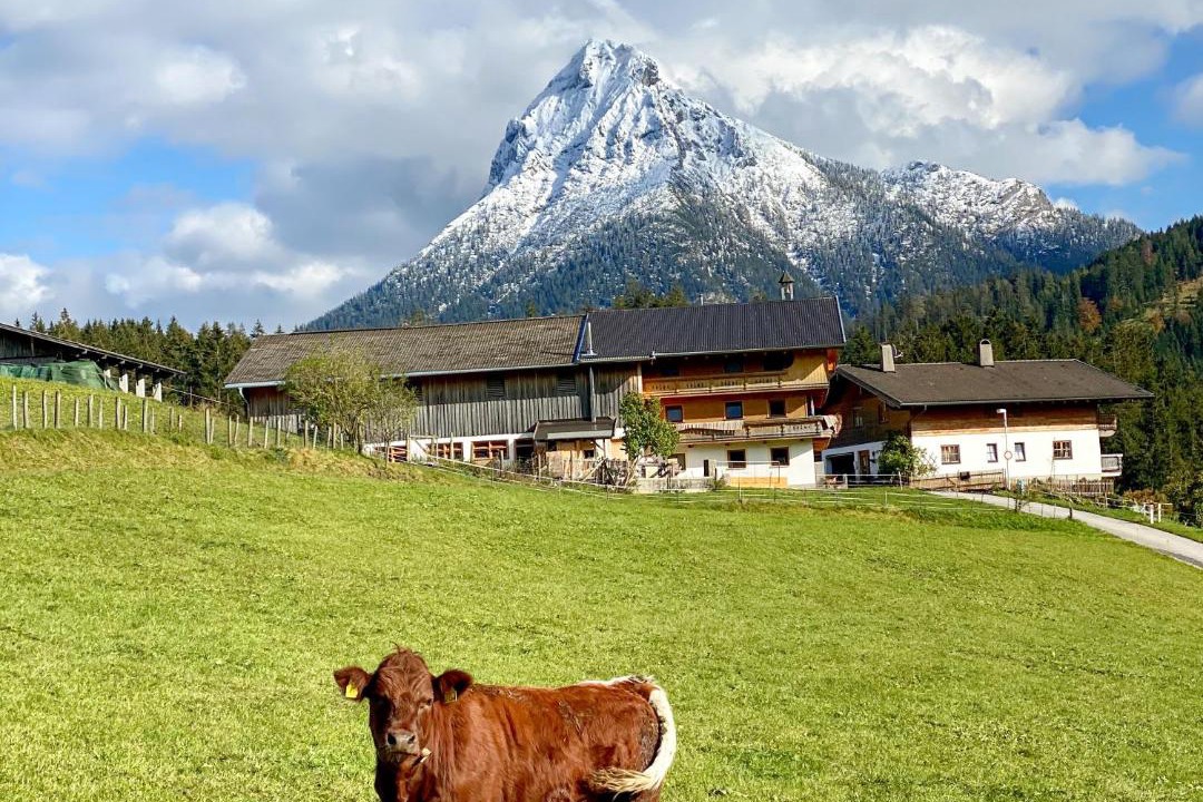 Photo of Others in Achenkirch