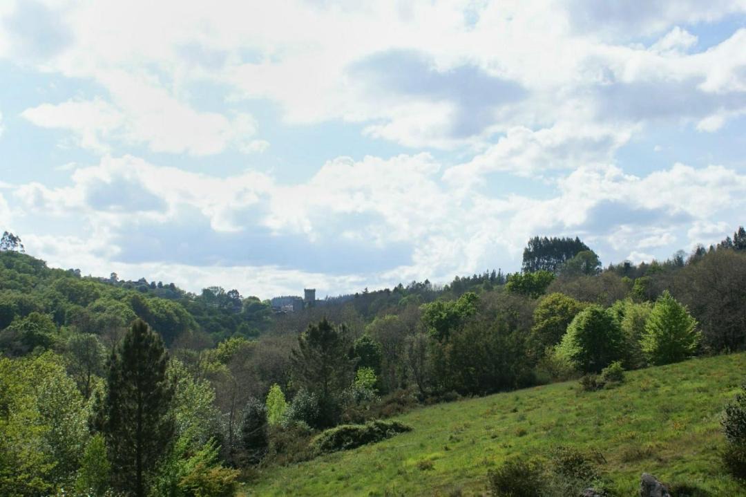 Photo of Others in Sambreixo