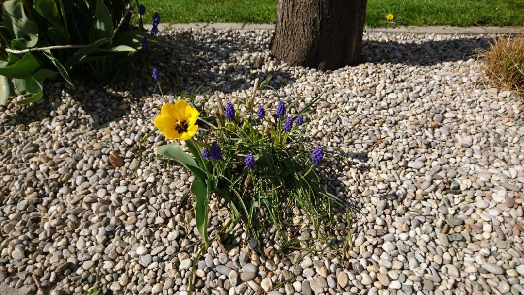 Photo of Outdoor in Hartkirchen