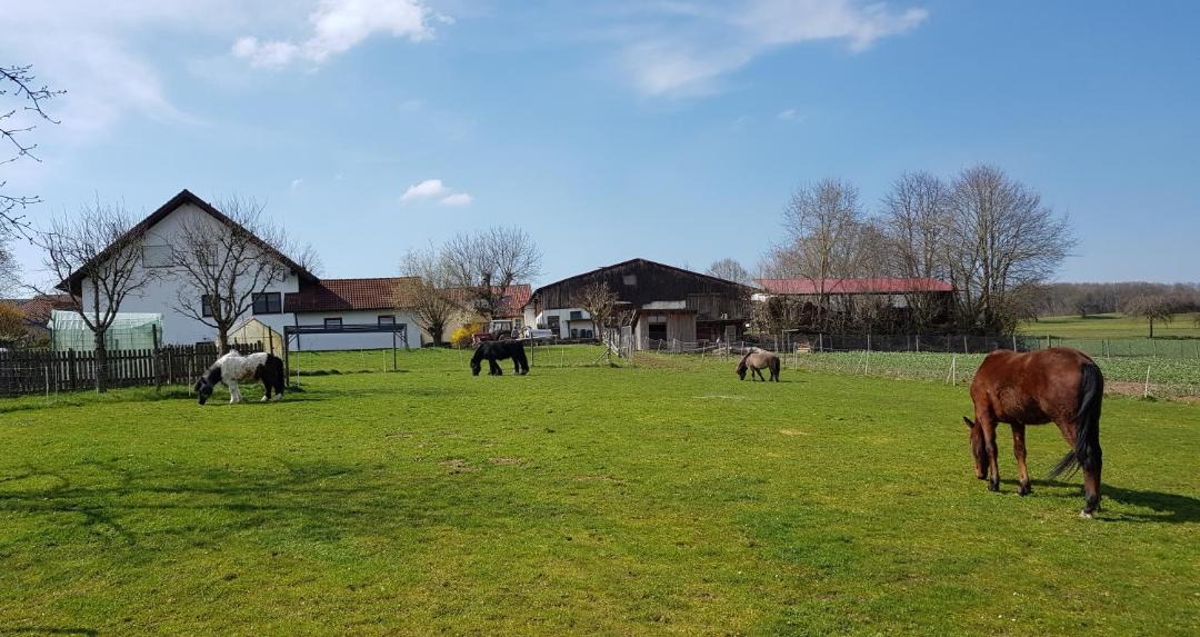 Photo of Buildings in Preunschen