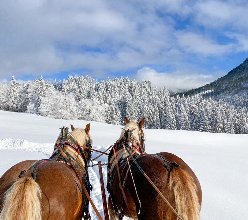 Photo of Others in Achenkirch