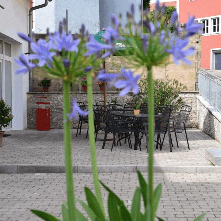 Photo of Others in Weidenbach
