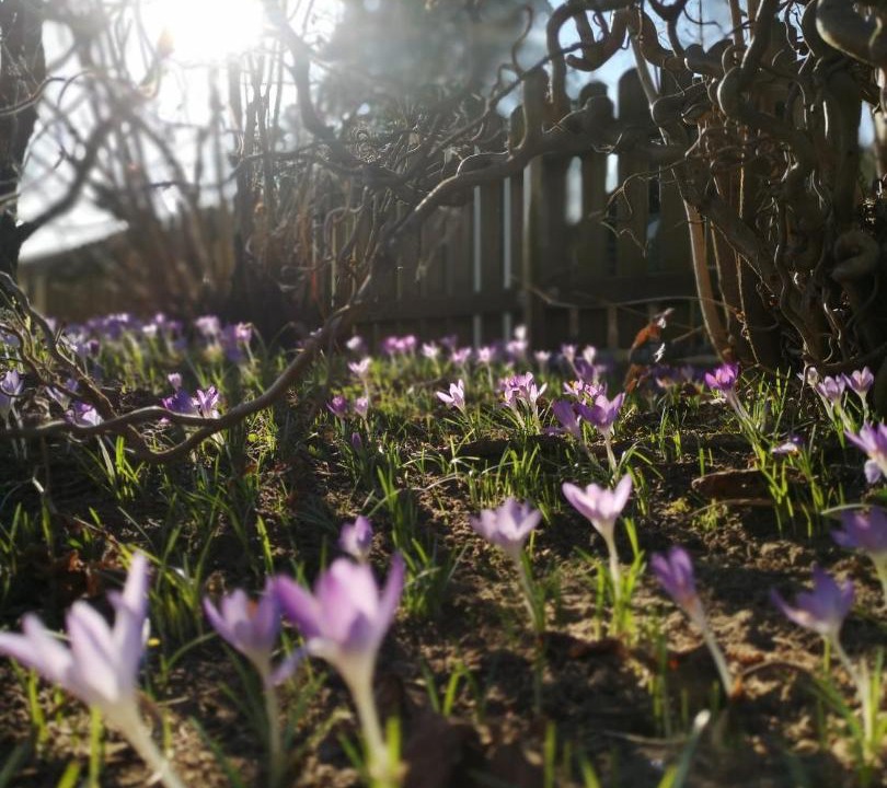 Photo of Outdoor in Postbauer-Heng