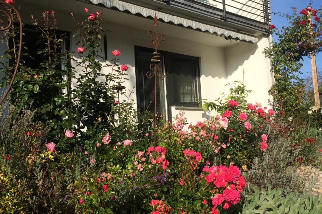 Photo of Buildings in Rettenbach a.Auerberg