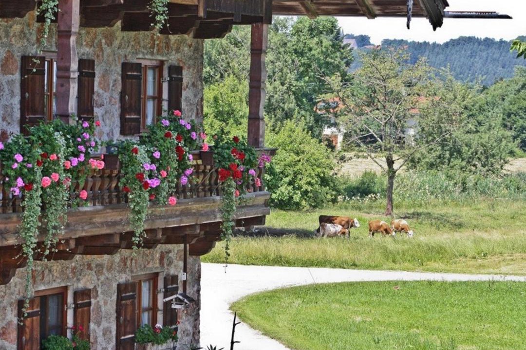Photo of Others in Grassau