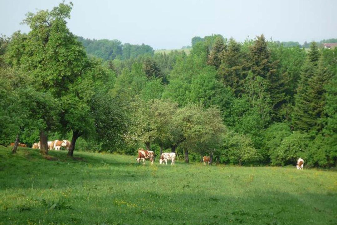 Photo of Others in Bad Endorf
