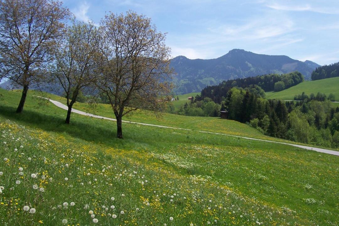 Photo of Others in Samerberg