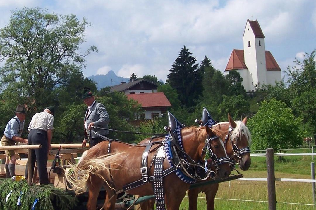 Photo of Others in Samerberg