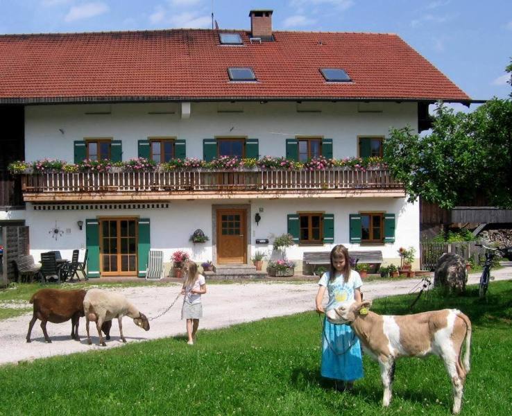 Photo of Others in Brannenburg