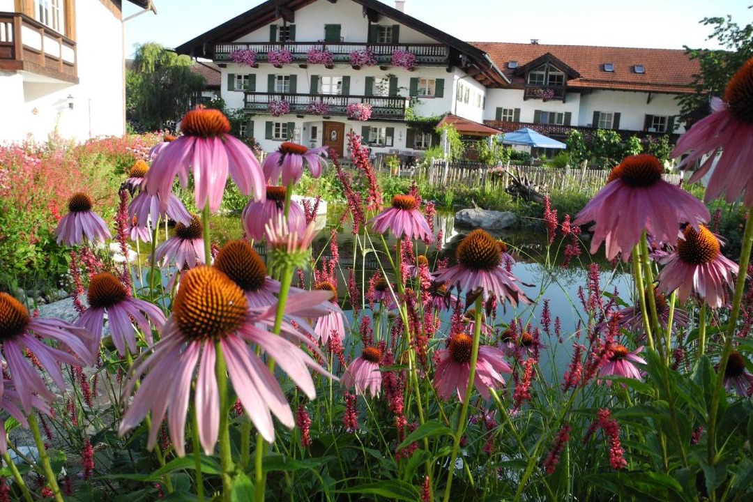 Photo of Others in Bad Feilnbach