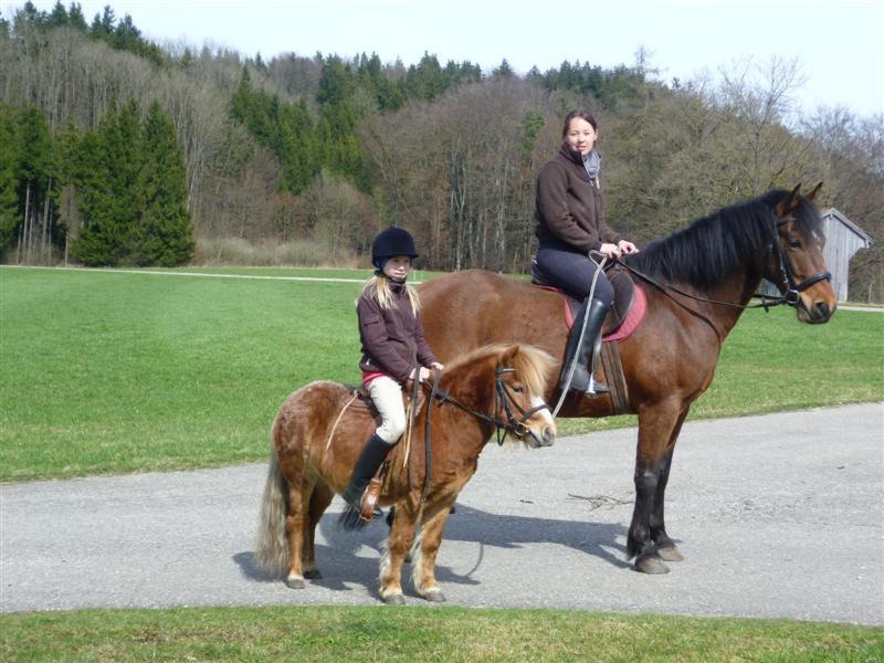 Photo of Others in Seeon-Seebruck