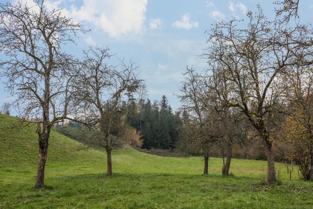 Photo of Outdoor in Lindau