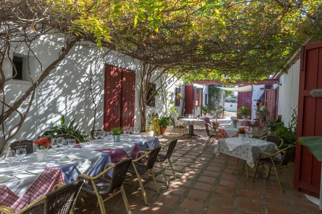 Photo of Others in Pizarra