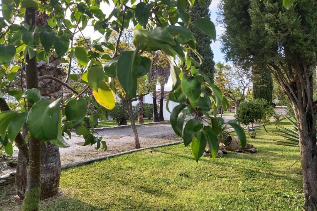 Photo of Others in Pizarra