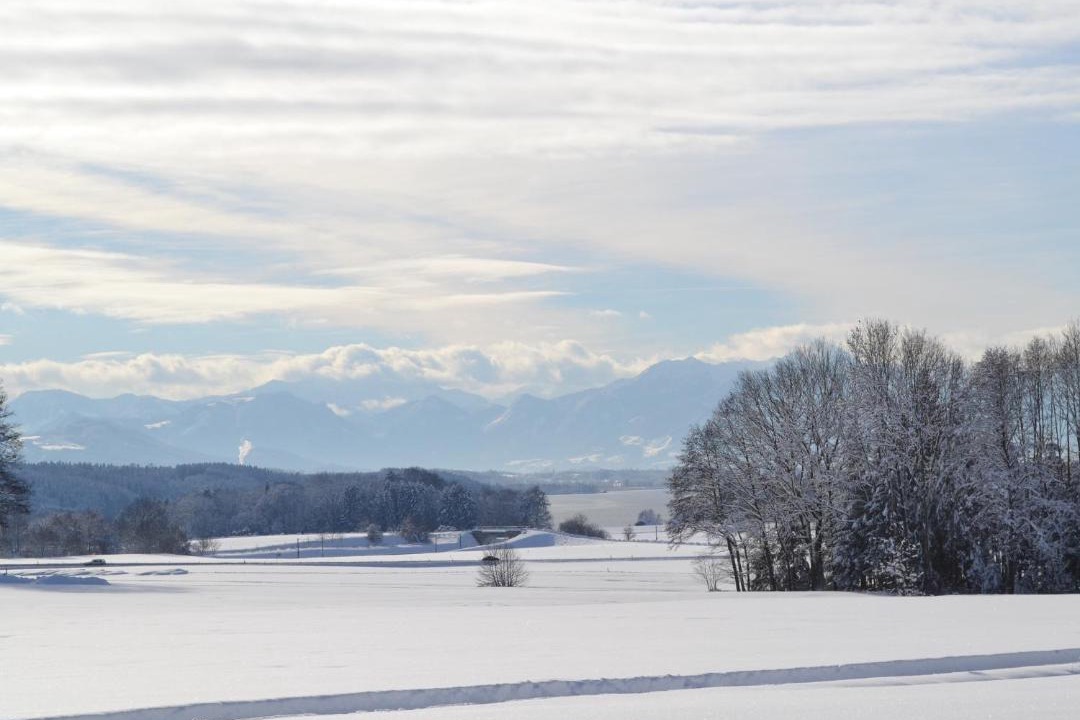 Photo of Others in Bad Endorf