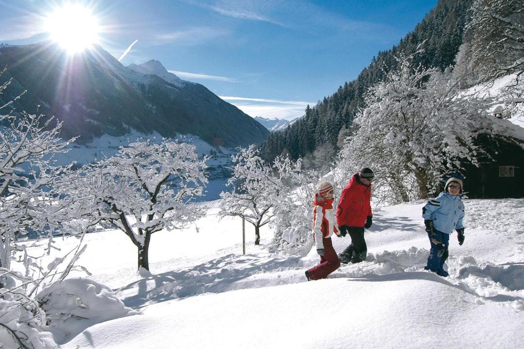 Photo of Others in Neustift Im Stubaital