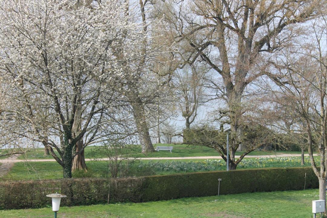 Photo of Others in Ueberlingen