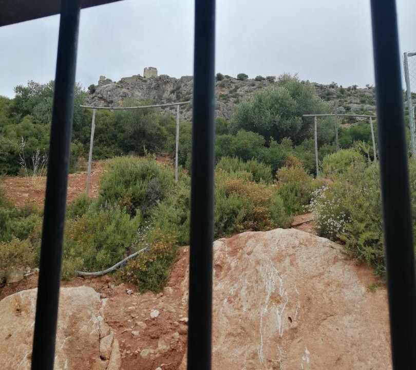 Photo of Others in Ardales