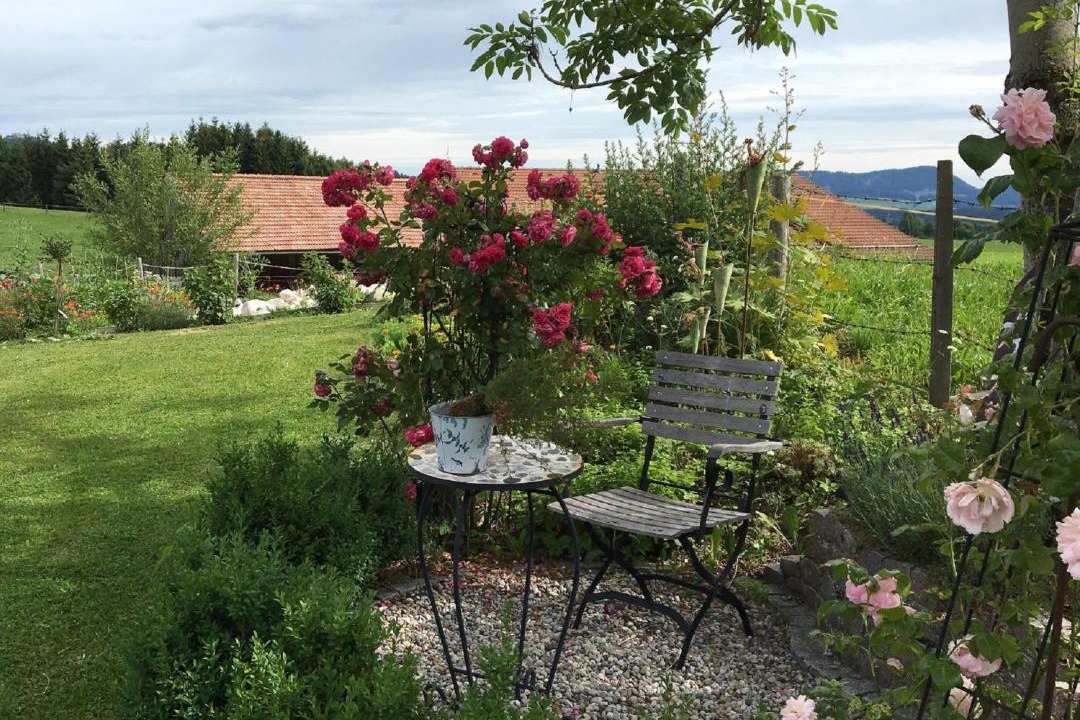 Photo of Others in Heitlern