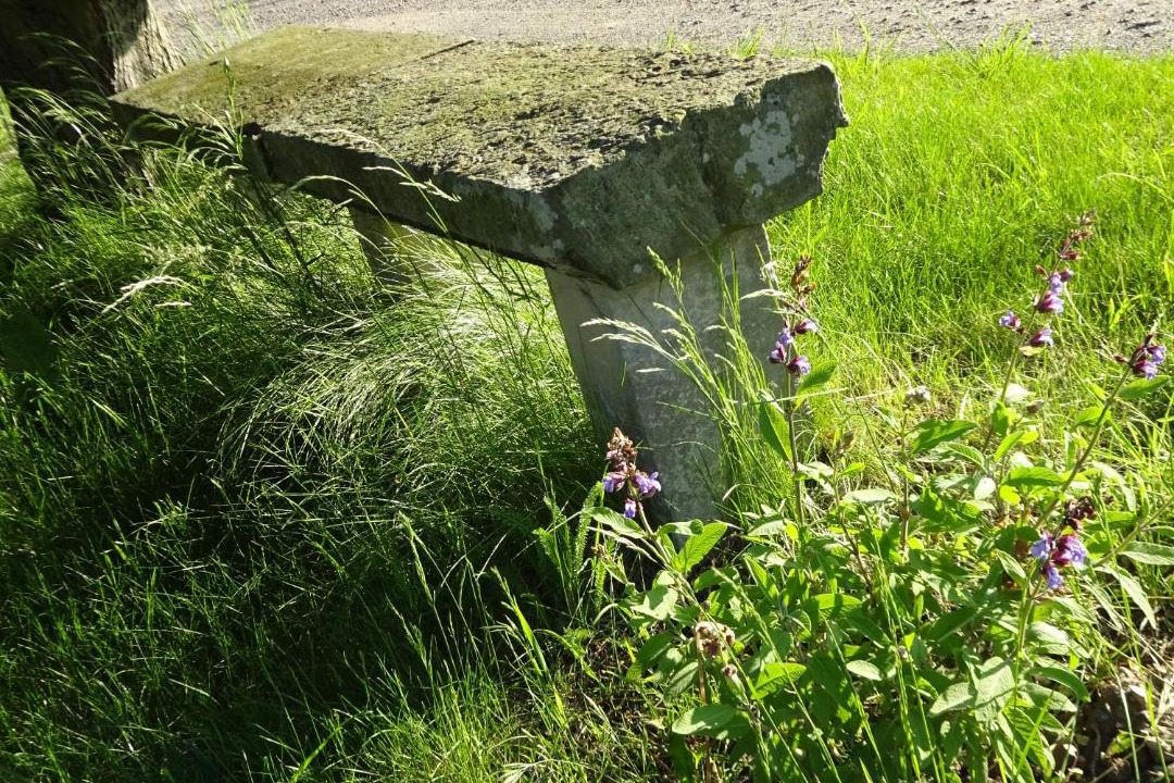 Photo of Others in Schmorsdorf