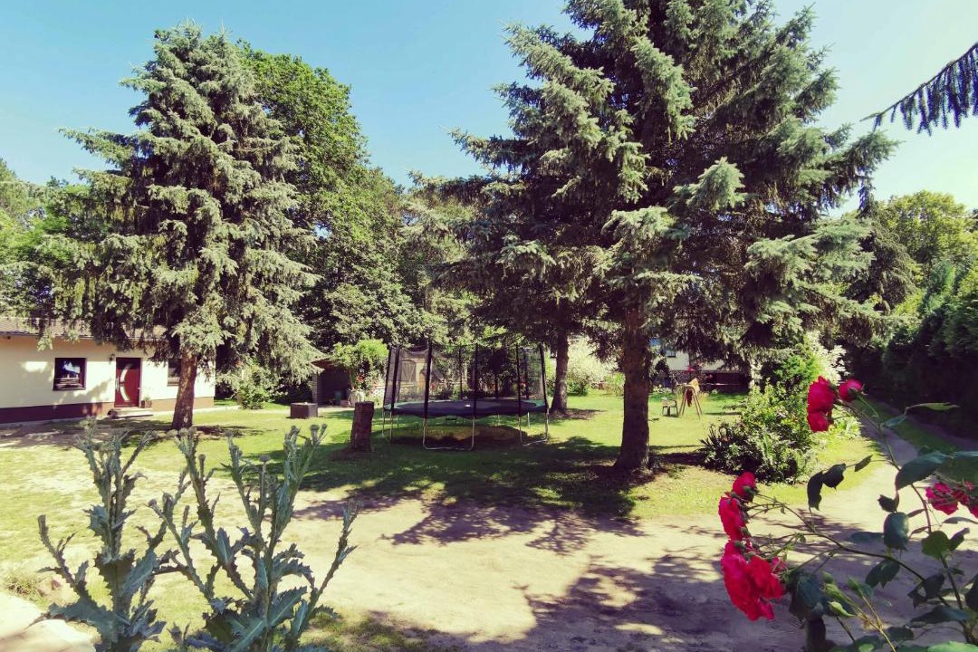 Photo of Others in Bannemin