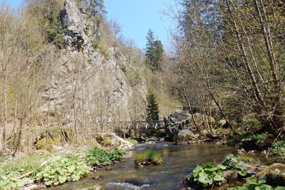 Photo of Others in Wilhelmsthal